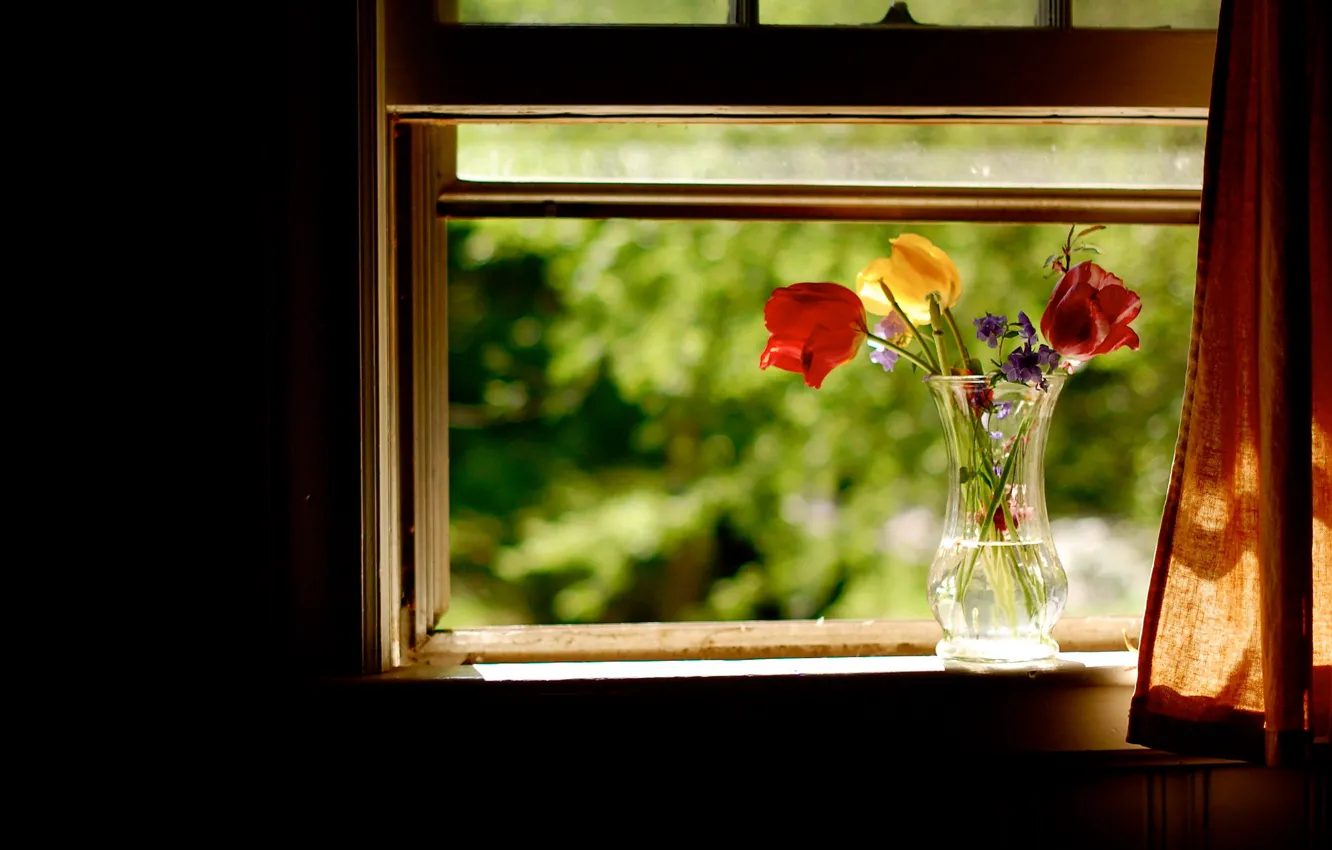 Фото обои лето, цветы, окно