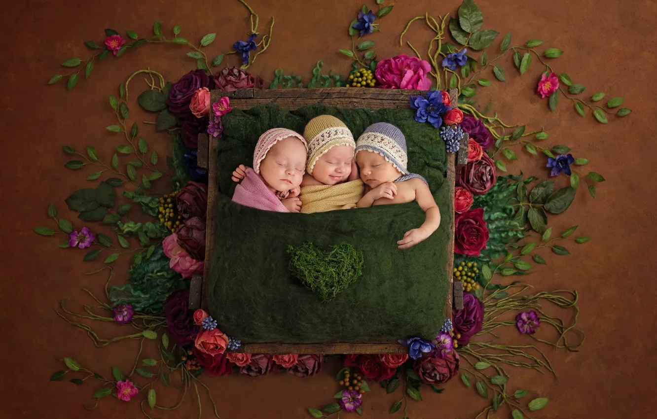 Фото обои цветы, дети, настроение, сон, трио, троица, спящие, младенцы