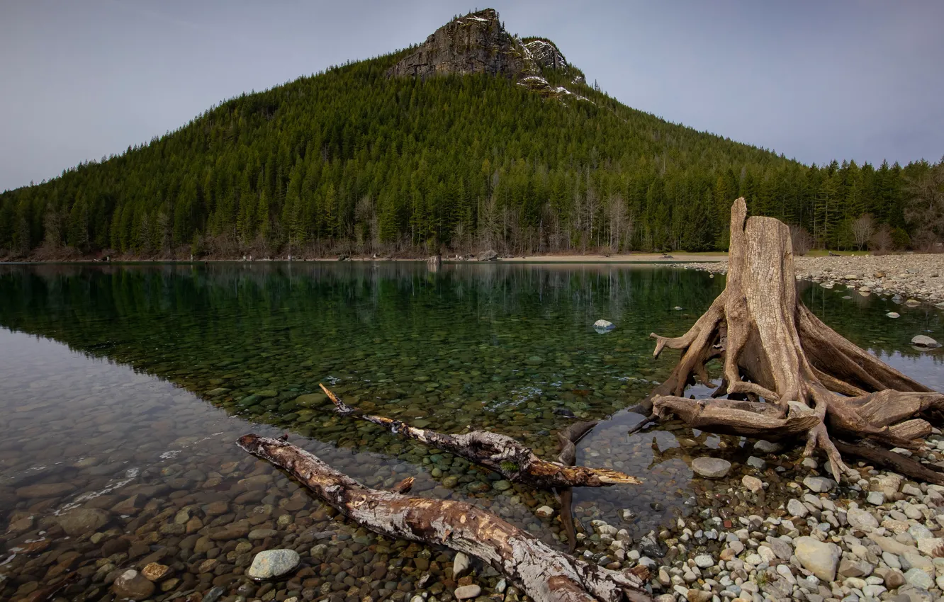 Фото обои лес, горы, природа, галька, озеро, отражение, камни, прозрачная вода