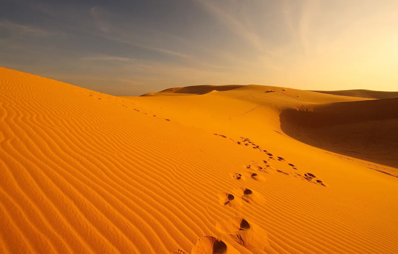 Фото обои песок, следы, пустыня, дюны, Oman, Wueste & Gebirge