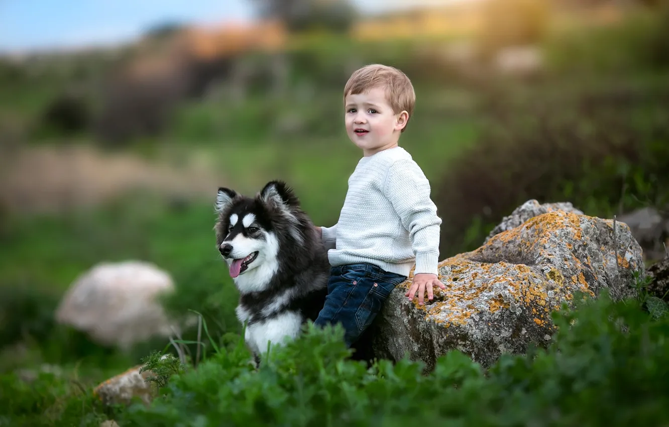 Фото обои трава, природа, животное, камень, собака, мальчик, малыш, ребёнок