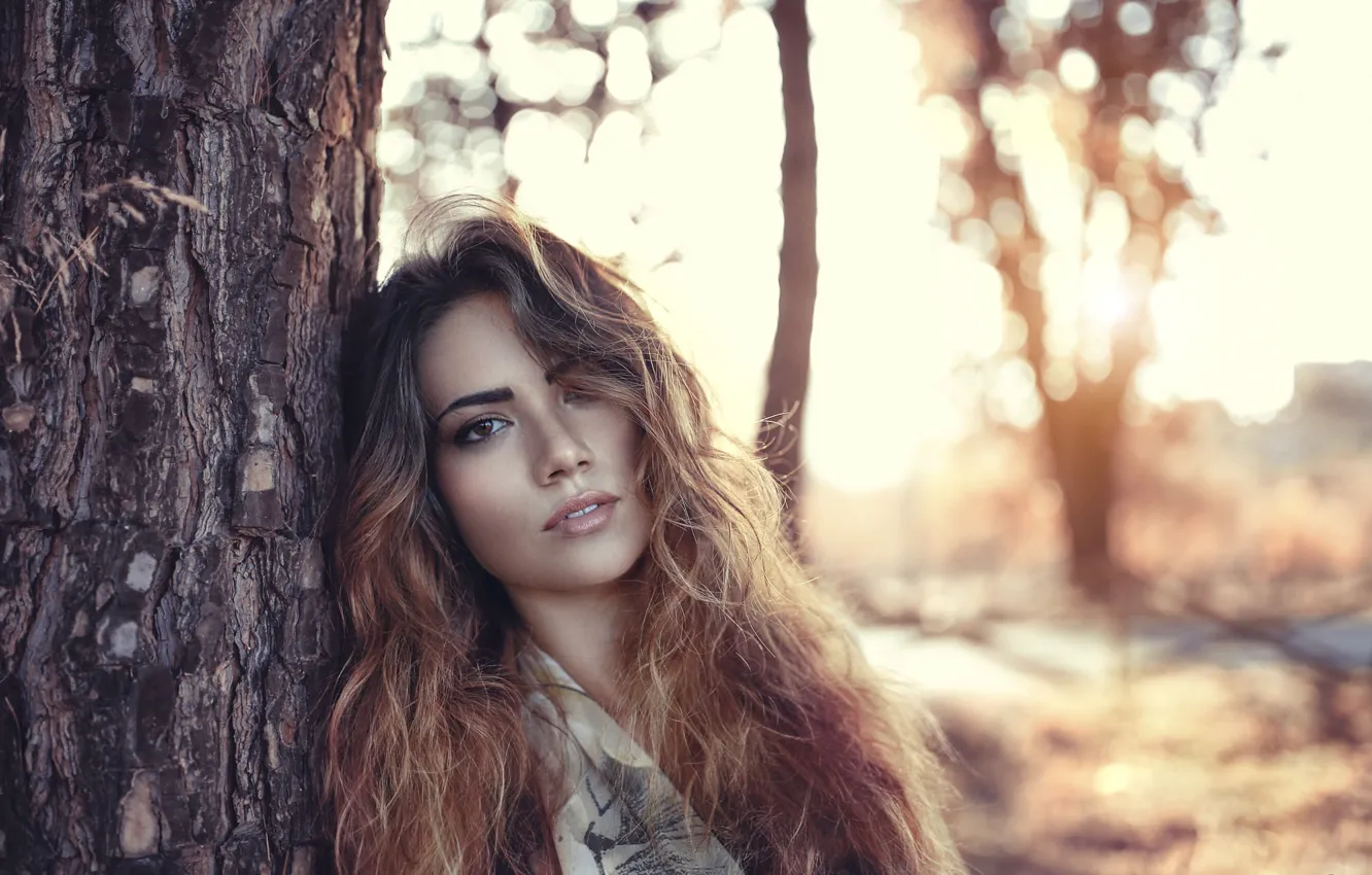 Фото обои long hair, nature, woman, tree, bokeh, sunlight