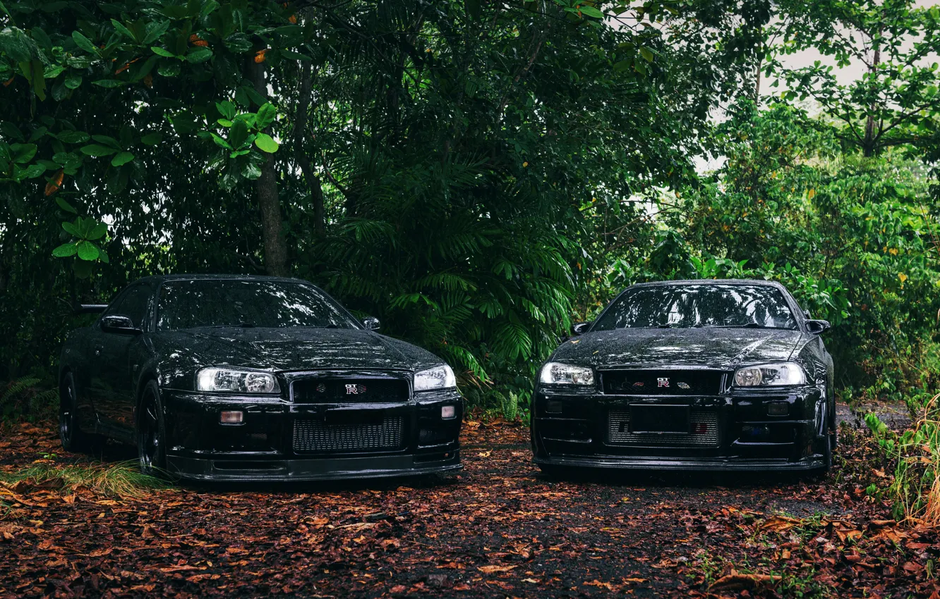 Фото обои Black, Skyline, R34, Trees, NISMO