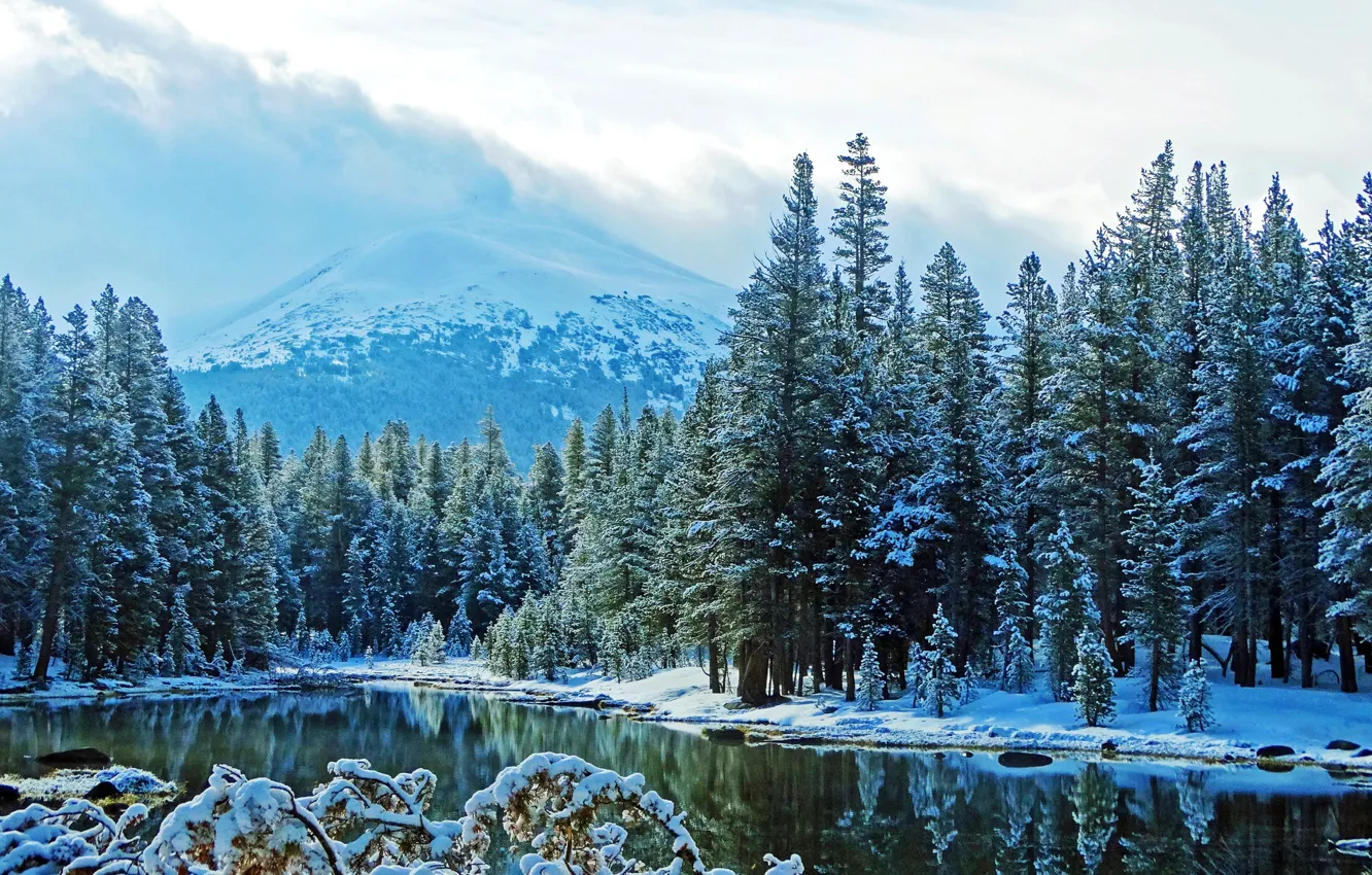 Фото обои зима, лес, облака, снег, пейзаж, горы, природа, туман