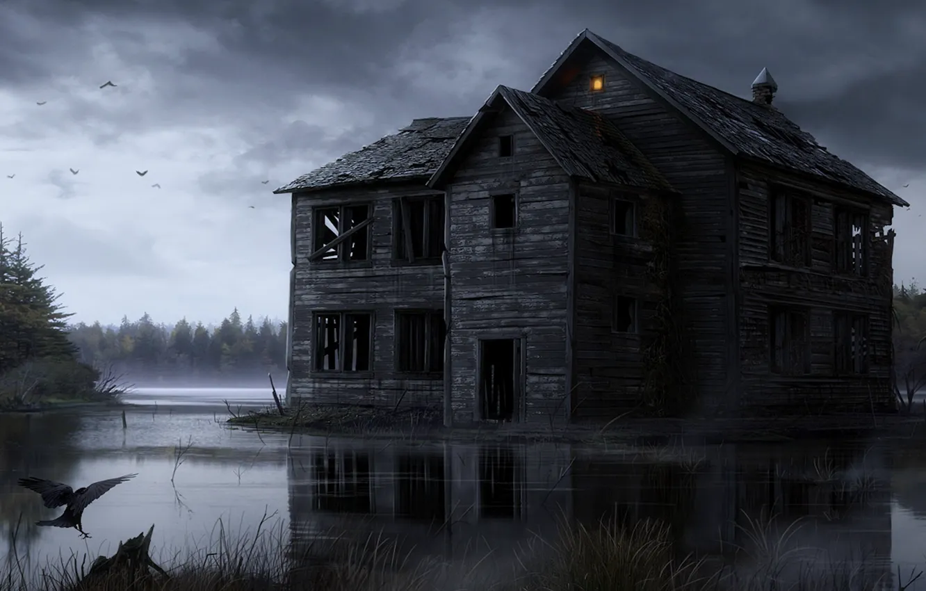 Фото обои вода, свет, птицы, дом, болото, деревянный, руины, ворона