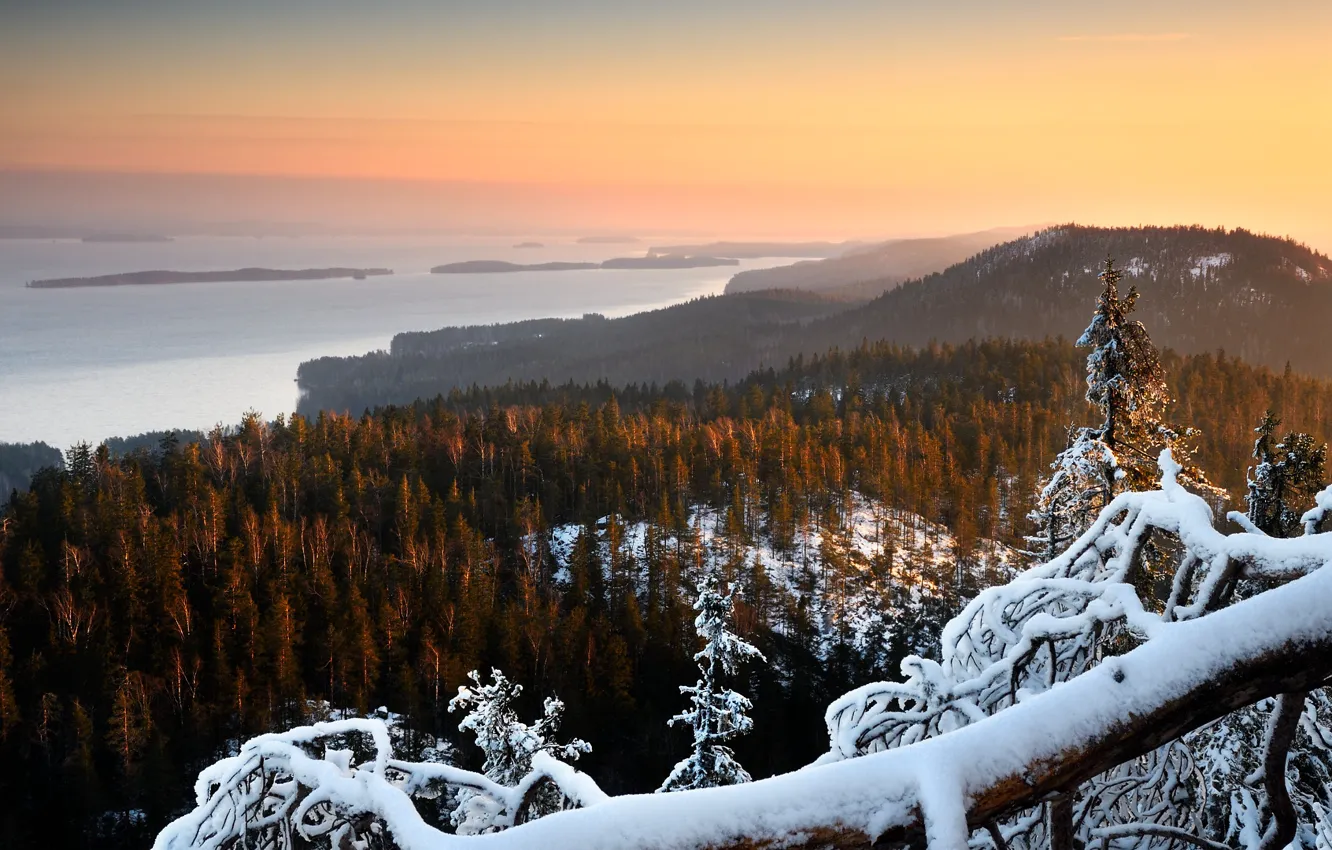 Фото обои зима, лес, солнце, снег, деревья, горы, берег, панорама