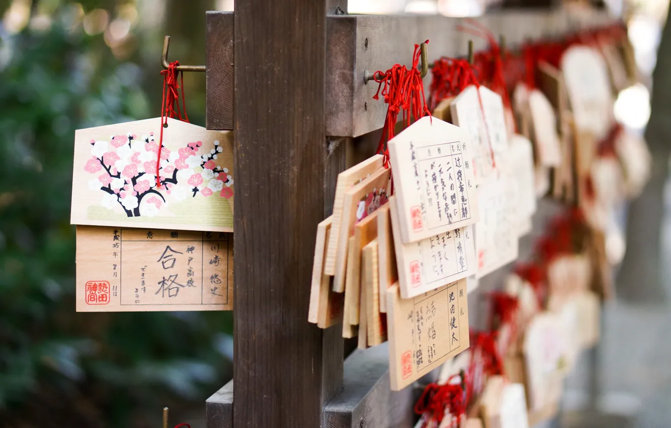 Фото обои дерево, желание, Япония, храм, Japan, боги, амулет, символика