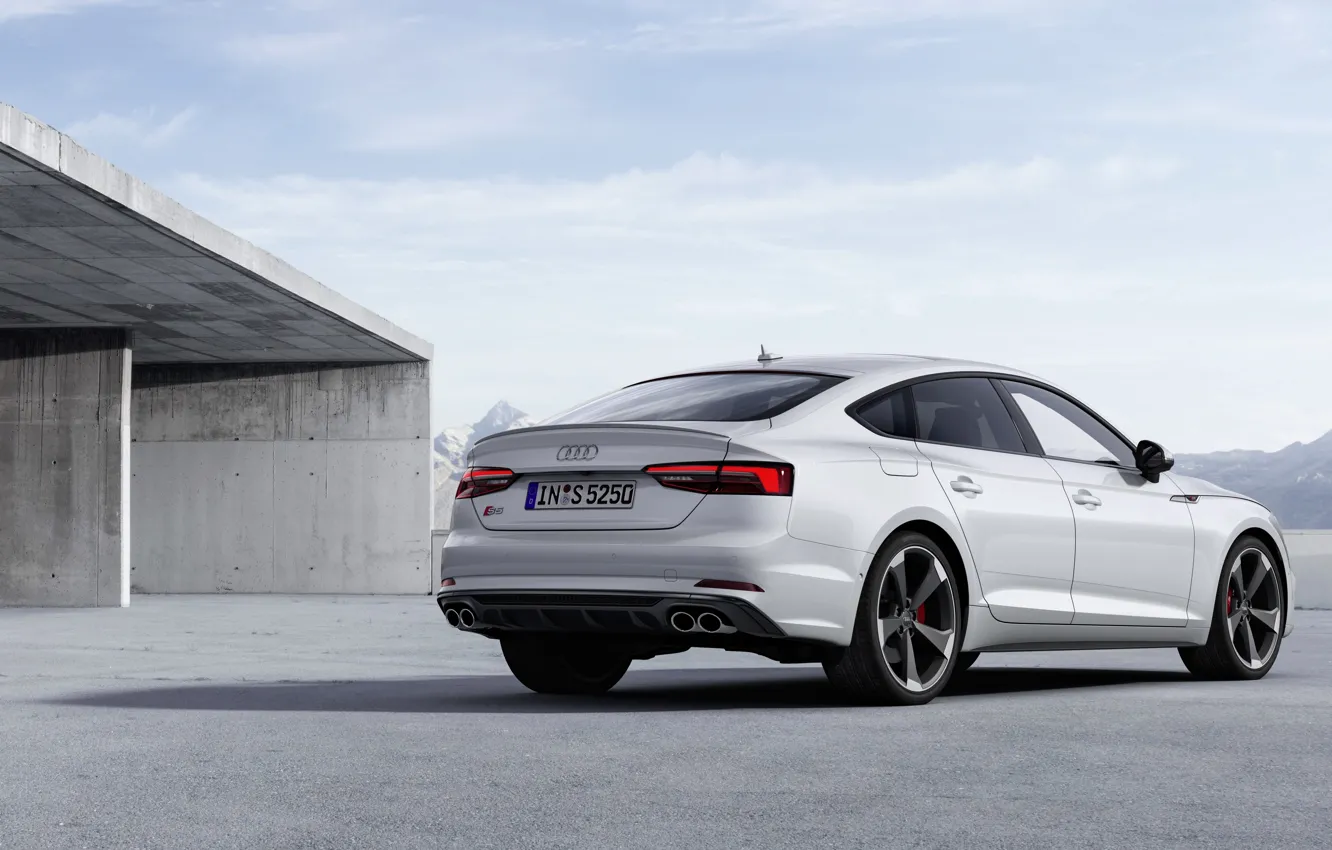 Фото обои Audi, Audi A5, пятидверный, 2019, S5 Sportback