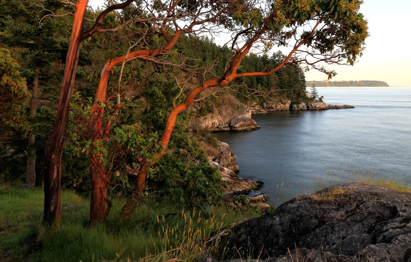 Фото обои деревья, река, камни, побережье, Канада, Ванкувер
