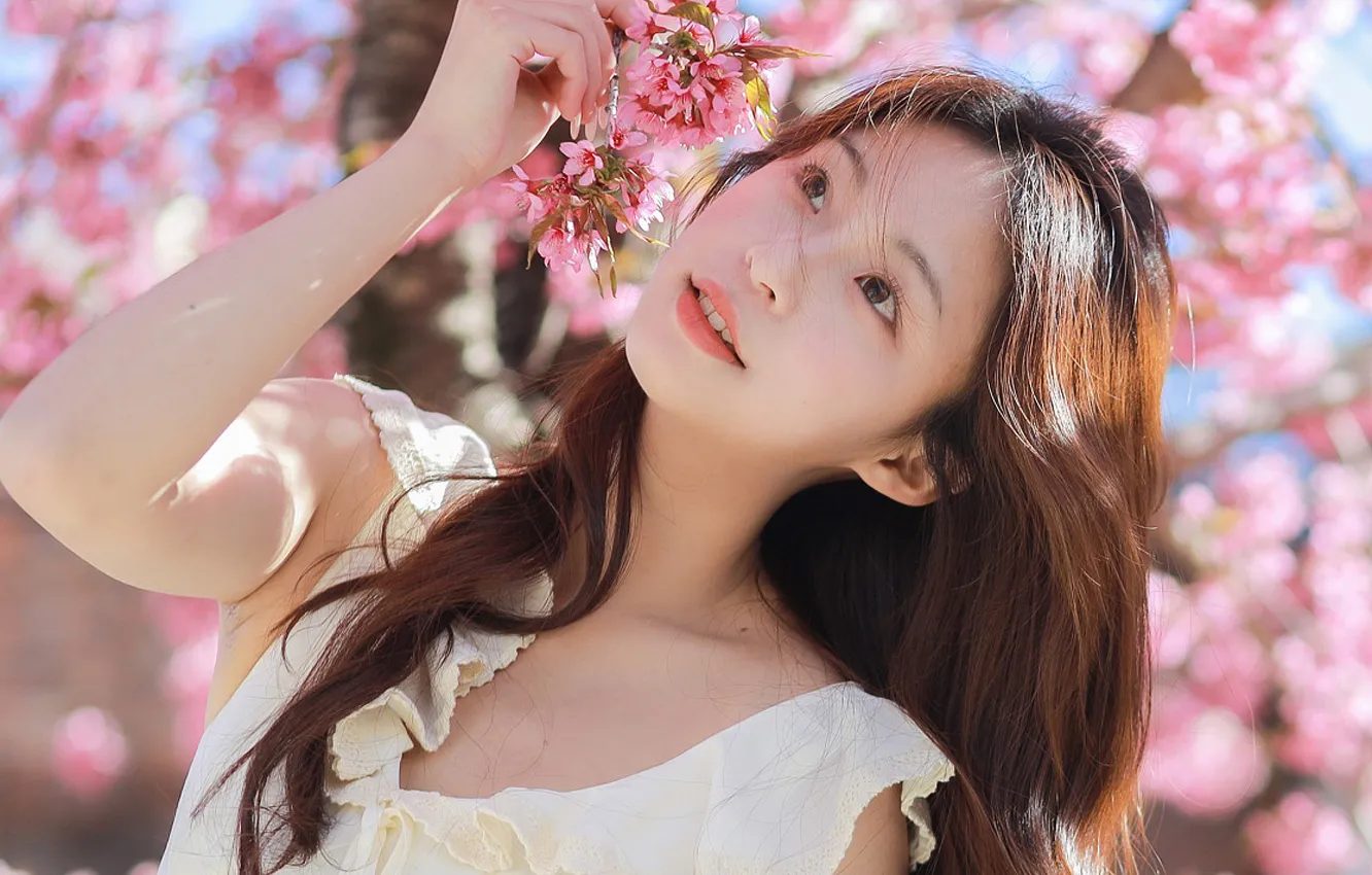 Фото обои Beautiful, Asian, Model, Tree, Flowers, Smile, Woman, Cute
