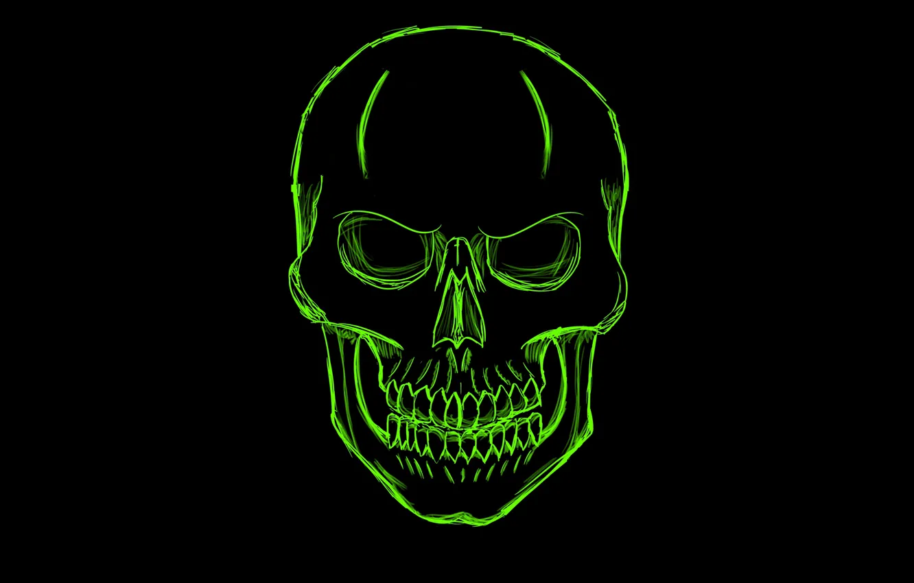 Фото обои зеленый, череп, минимализм, голова, скелет, skull