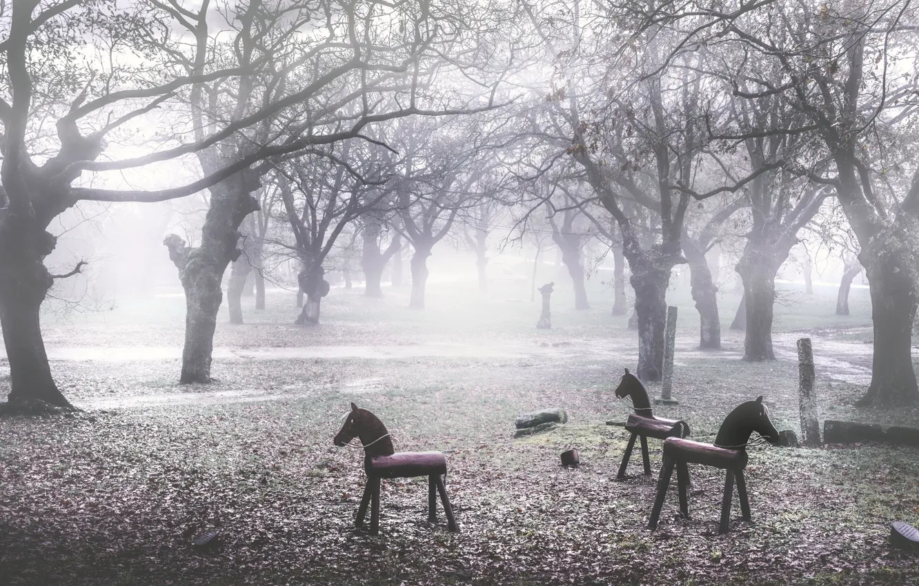 Фото обои туман, парк, кони