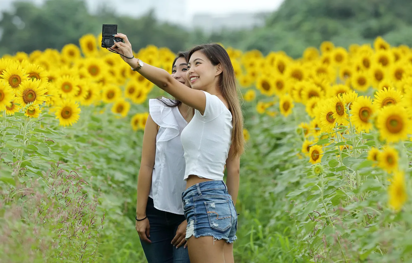 Фото обои поле, радость, подсолнухи, природа, девушки, фотоаппарат, улыбки, азиатки