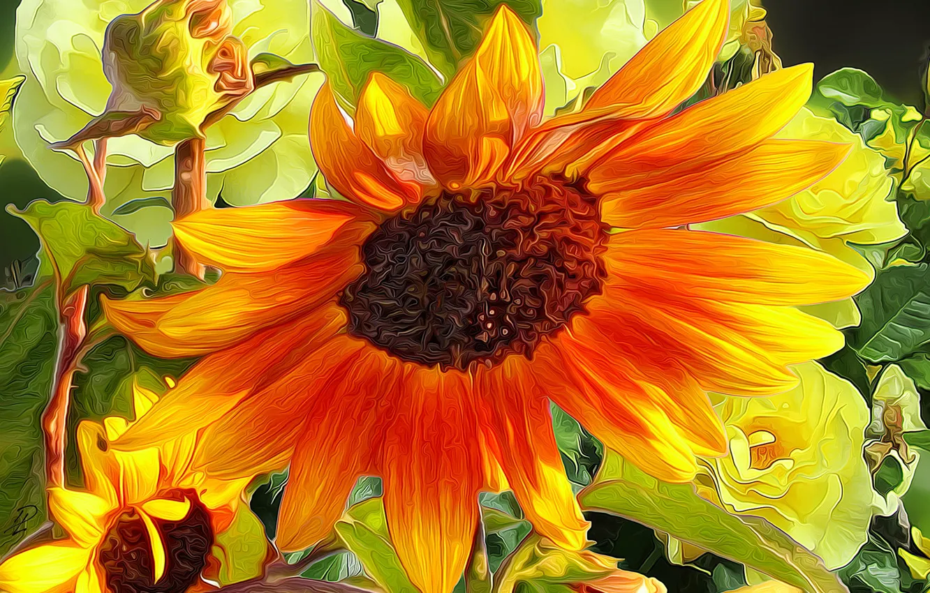 Фото обои линии, подсолнухи, рендеринг, лепестки