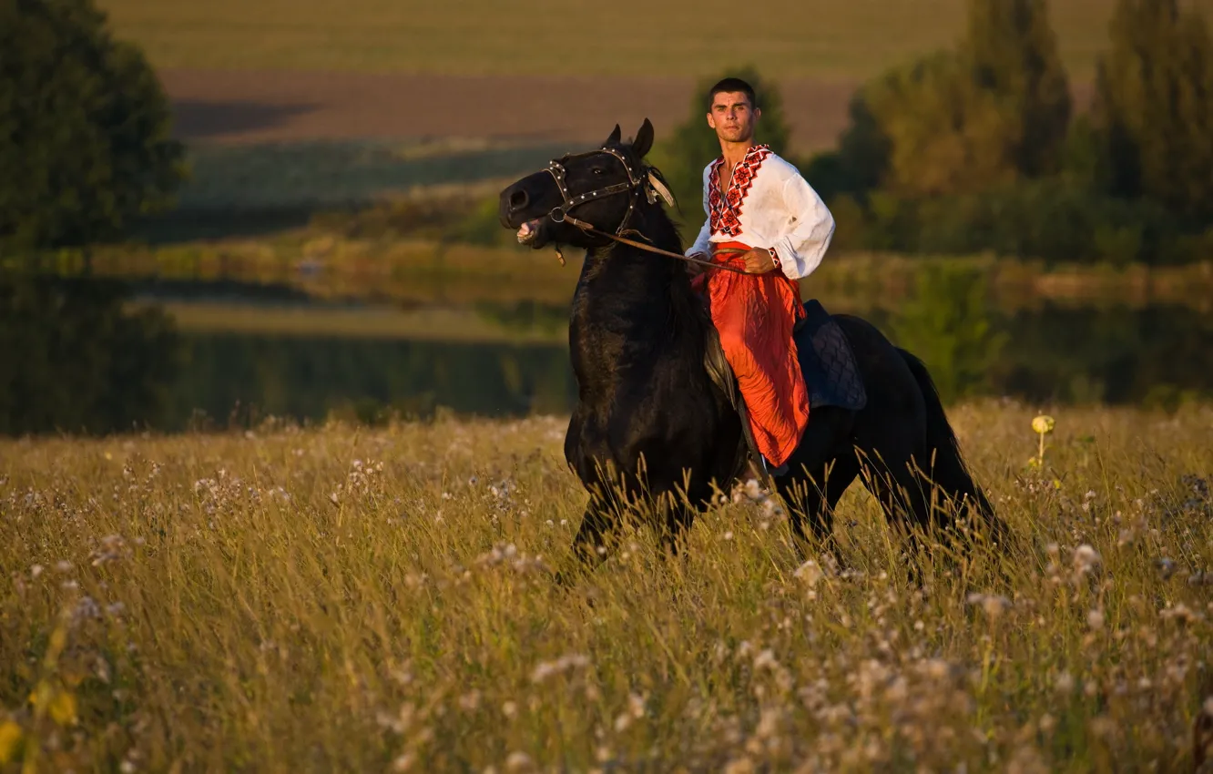 Фото обои поле, конь, мужчина, Украина, Україна