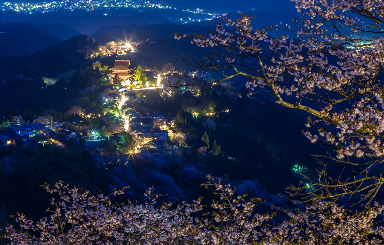 Фото обои лес, горы, ночь, ветки, огни, дома, Япония, сакура