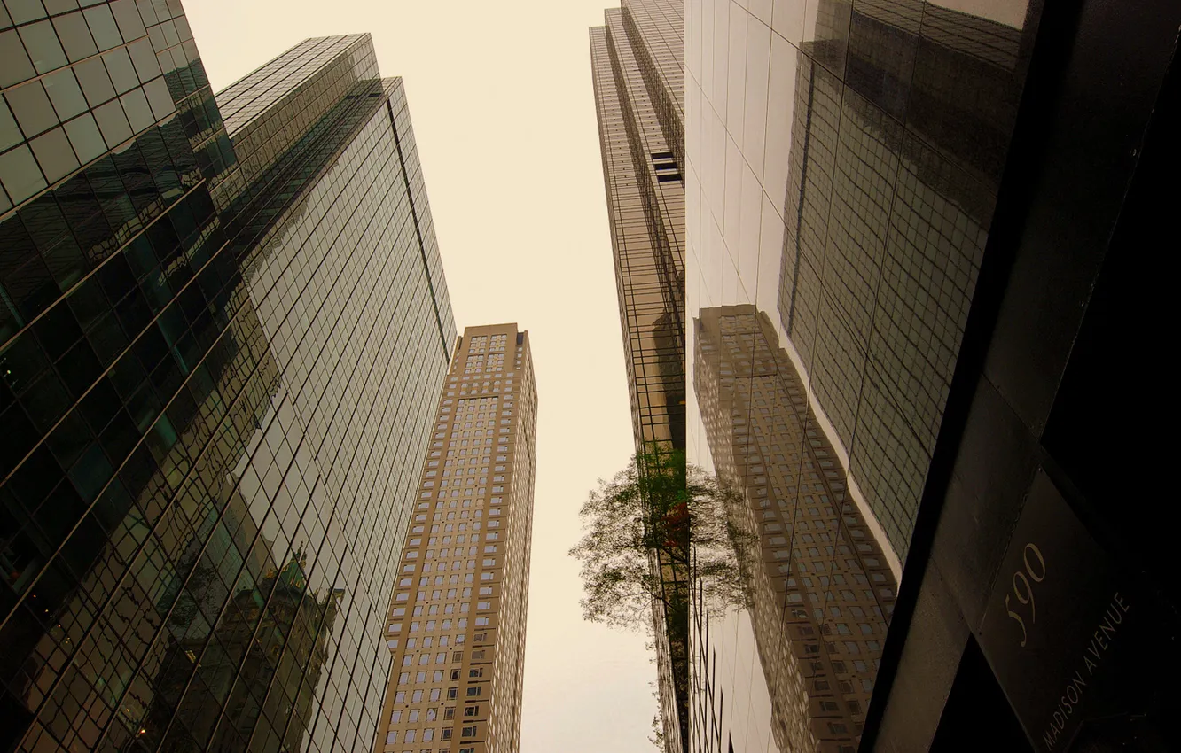 Фото обои небо, город, небоскребы, нью йорк