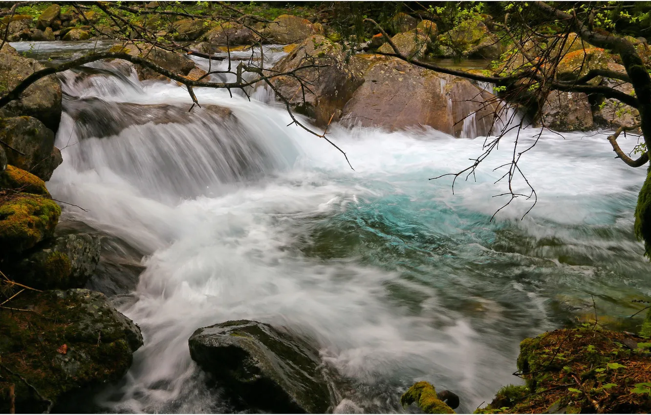 Фото обои осень, река, камни, дерево, поток