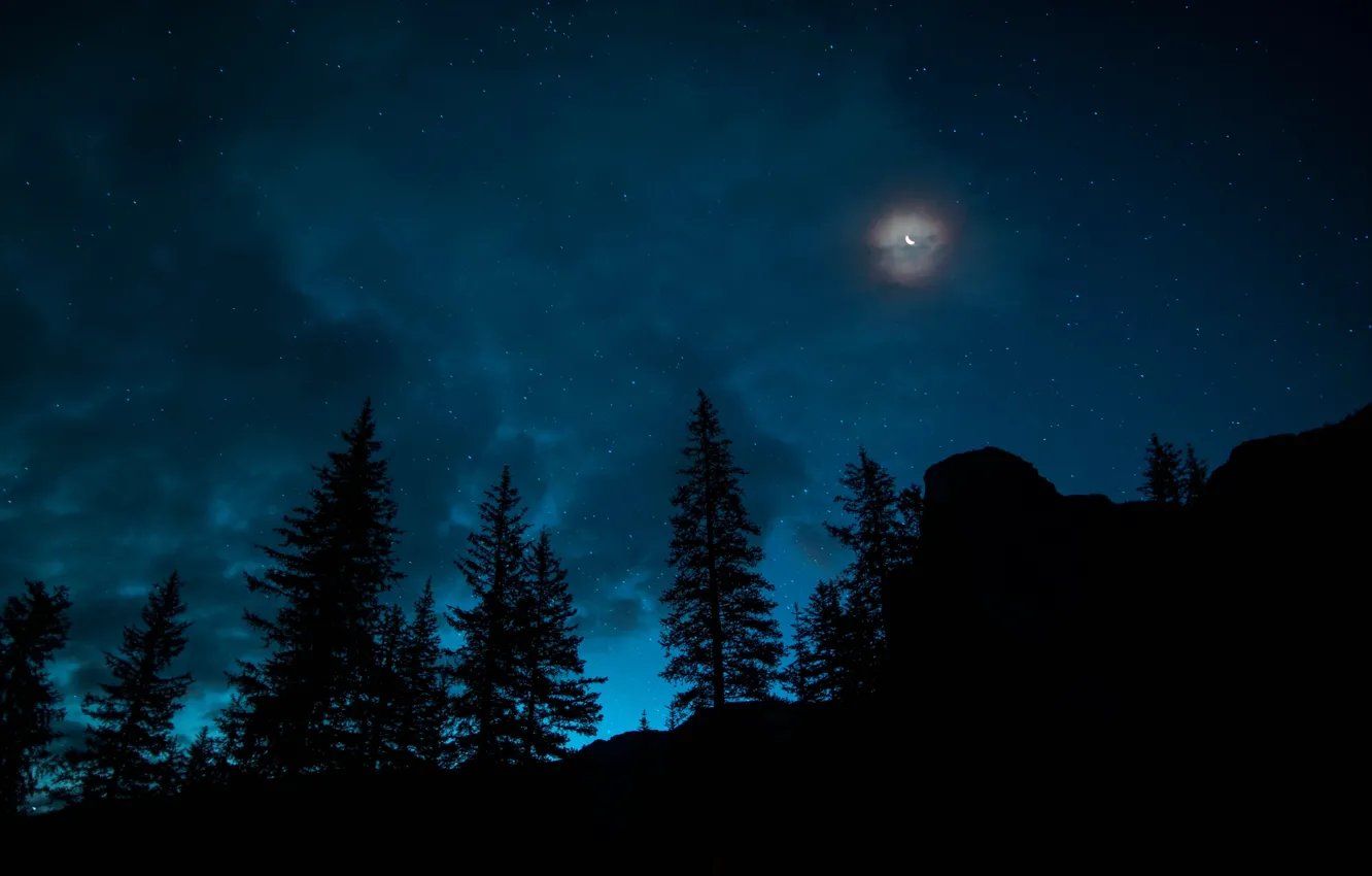 Фото обои Небо, Ночь, Звезды, Луна, Лес, Канада, Ель, Месяц