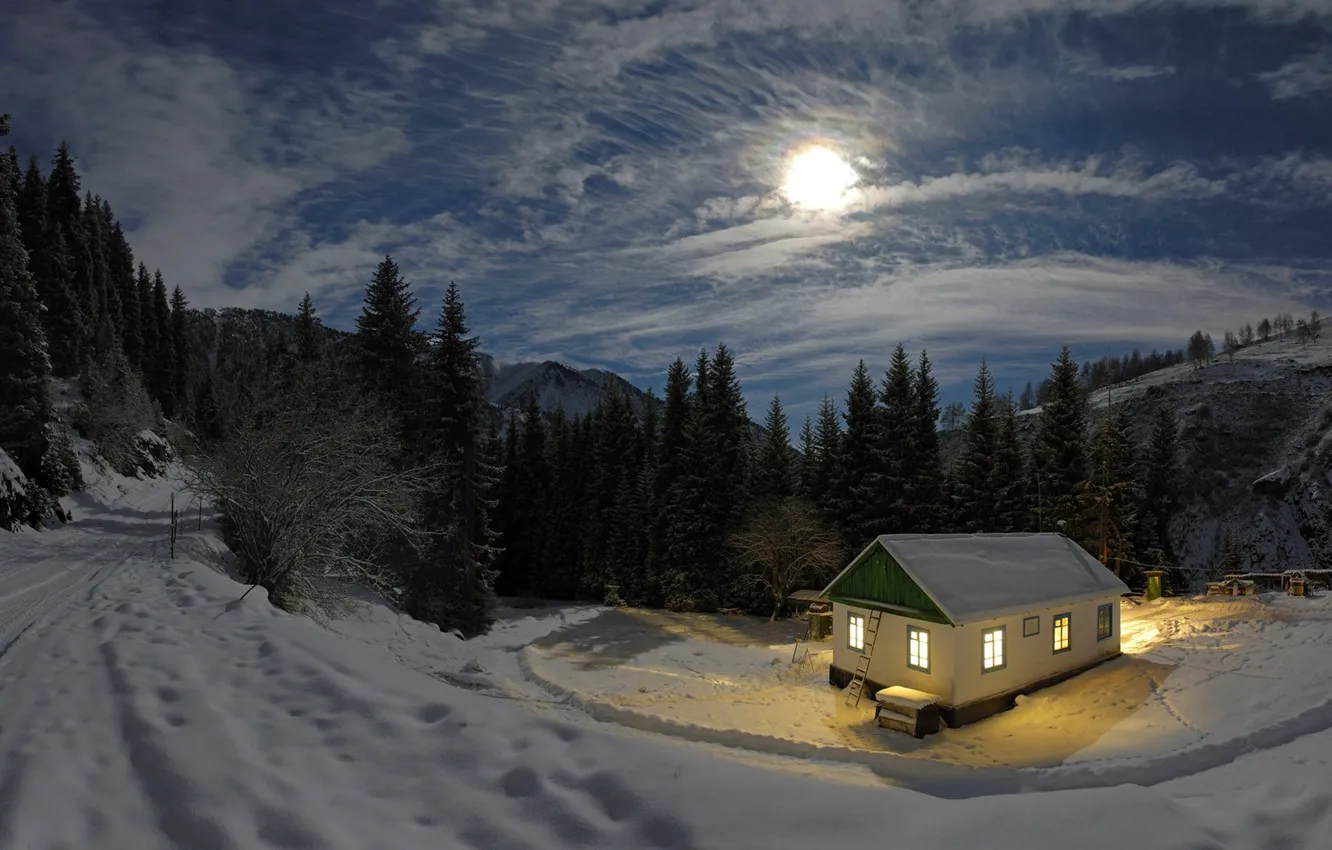 Фото обои зима, лес, свет, снег, ночь, луна, домик