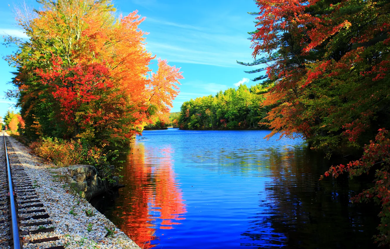 Фото обои деревья, озеро, рельсы, colors, Осень, trees, nature, autumn