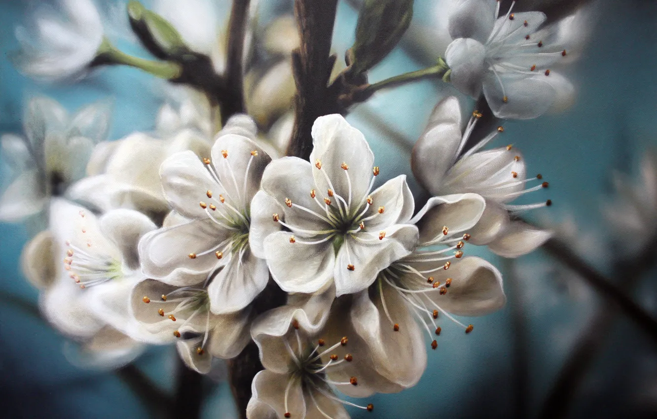 Фото обои природа, белые, цветочки, живопись, яблоня, цветение, веточки