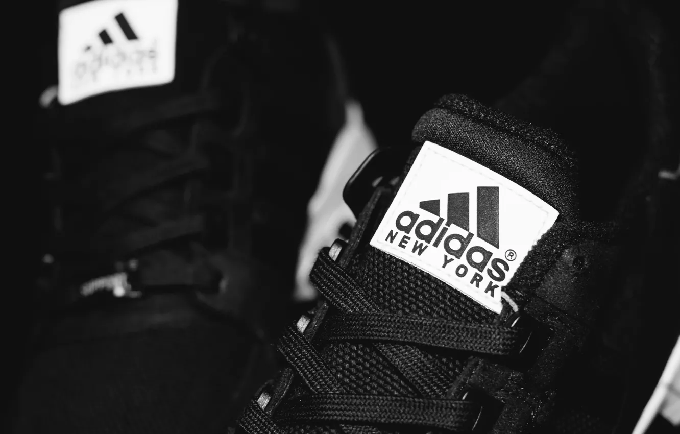 Фото обои шнурки, Adidas, New York, EQT