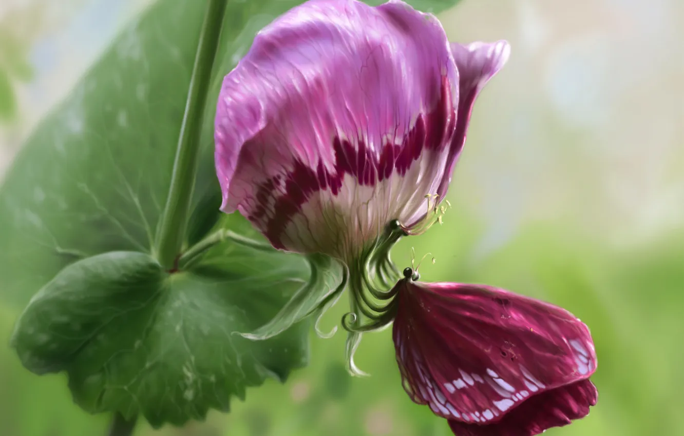 Фото обои цветок, розовый, бабочка, растение, крылья, лепестки, арт
