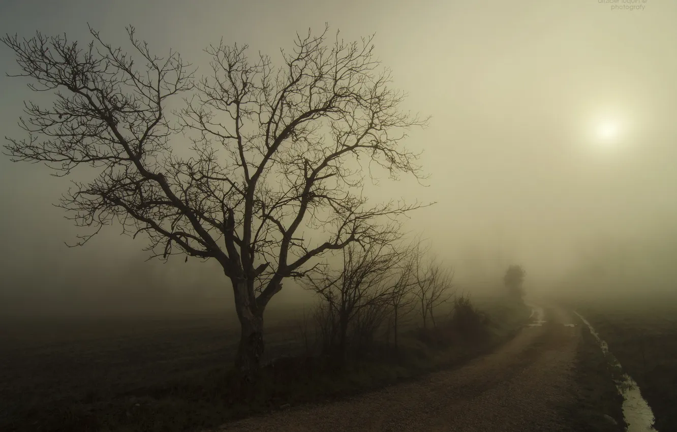 Фото обои дорога, пейзаж, ночь, туман