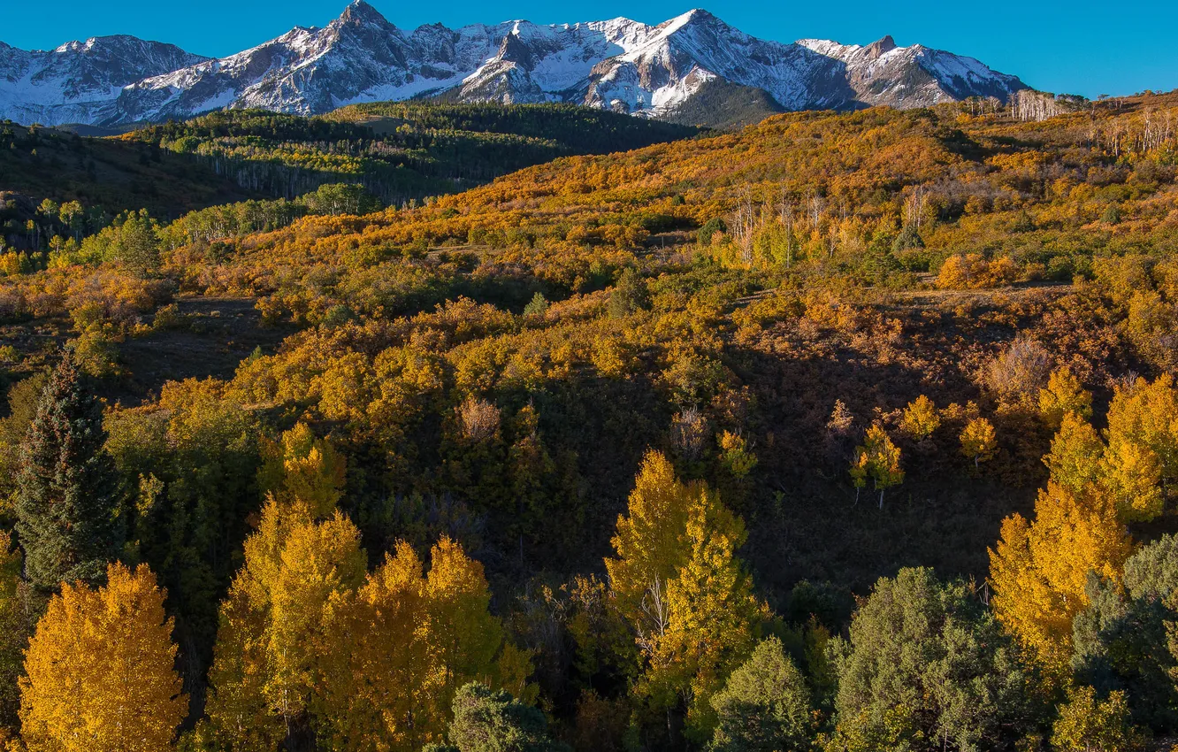 Фото обои осень, лес, небо, снег, горы, склон