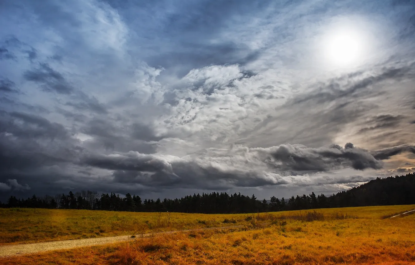 Фото обои дорога, поле, лес, солнце, облака