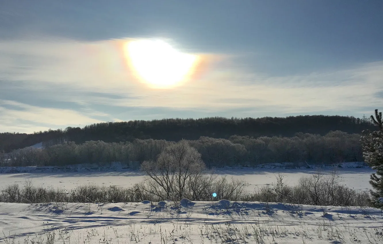 Фото обои зима, солнце, Природа, область, Калужская