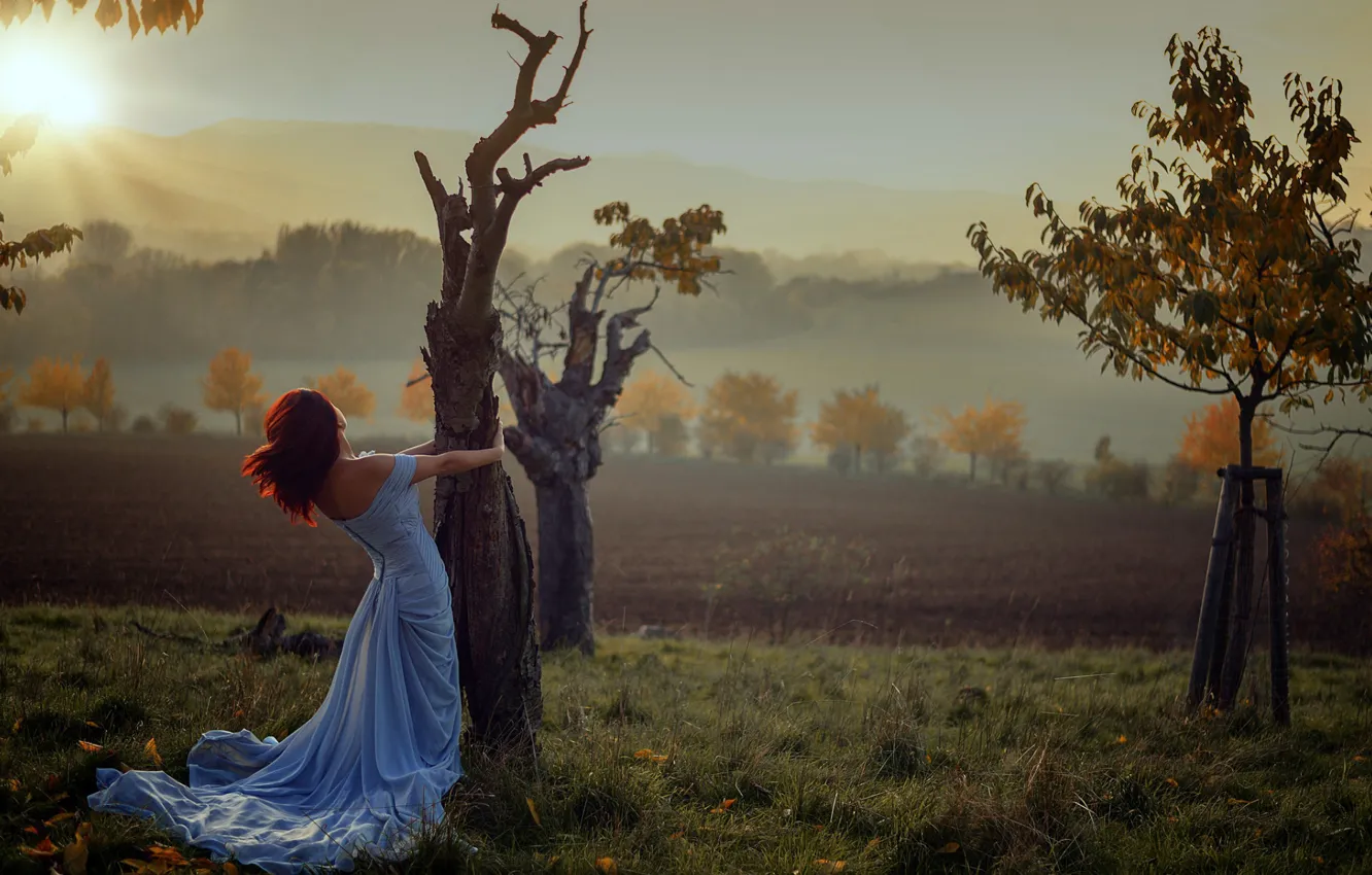 Фото обои ПОЛЕ, ПЛАТЬЕ, ДЕРЕВЬЯ, ЛУЧИ, ДАЛЬ, НАСТРОЕИНЕ, фотограф Miss Frogg