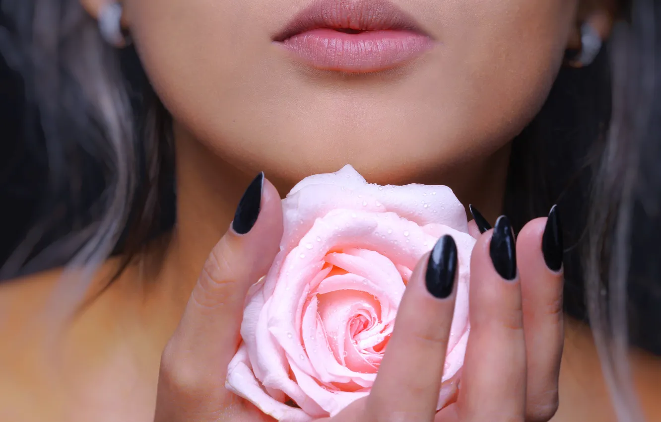 Фото обои цветок, роза, серьги, губы, rose, flower, lips, earrings