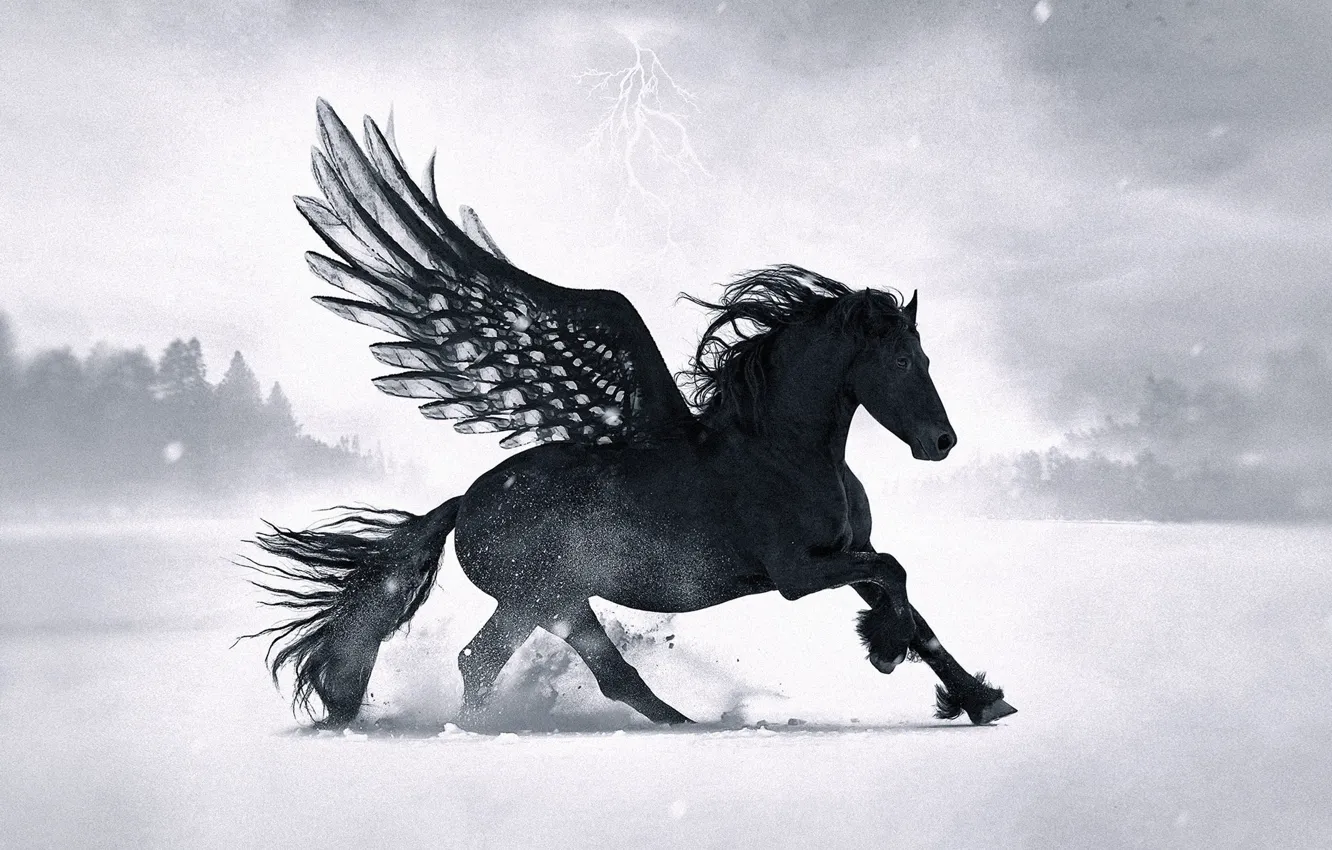 Фото обои лес, снег, конь, молния, крылья, black pegasus