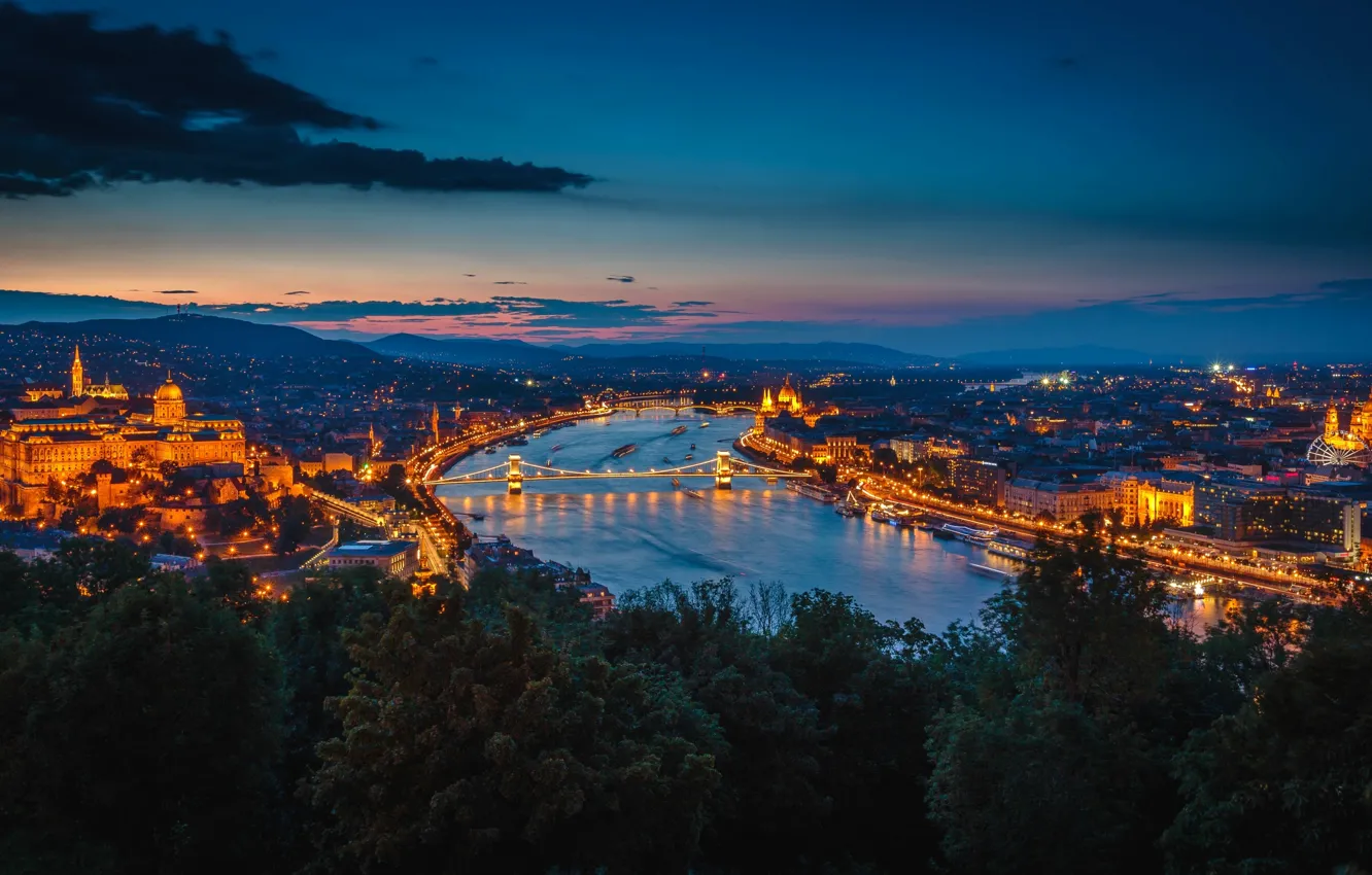 Фото обои ночь, мост, огни, река, здания, Венгрия, Будапешт, Дунай