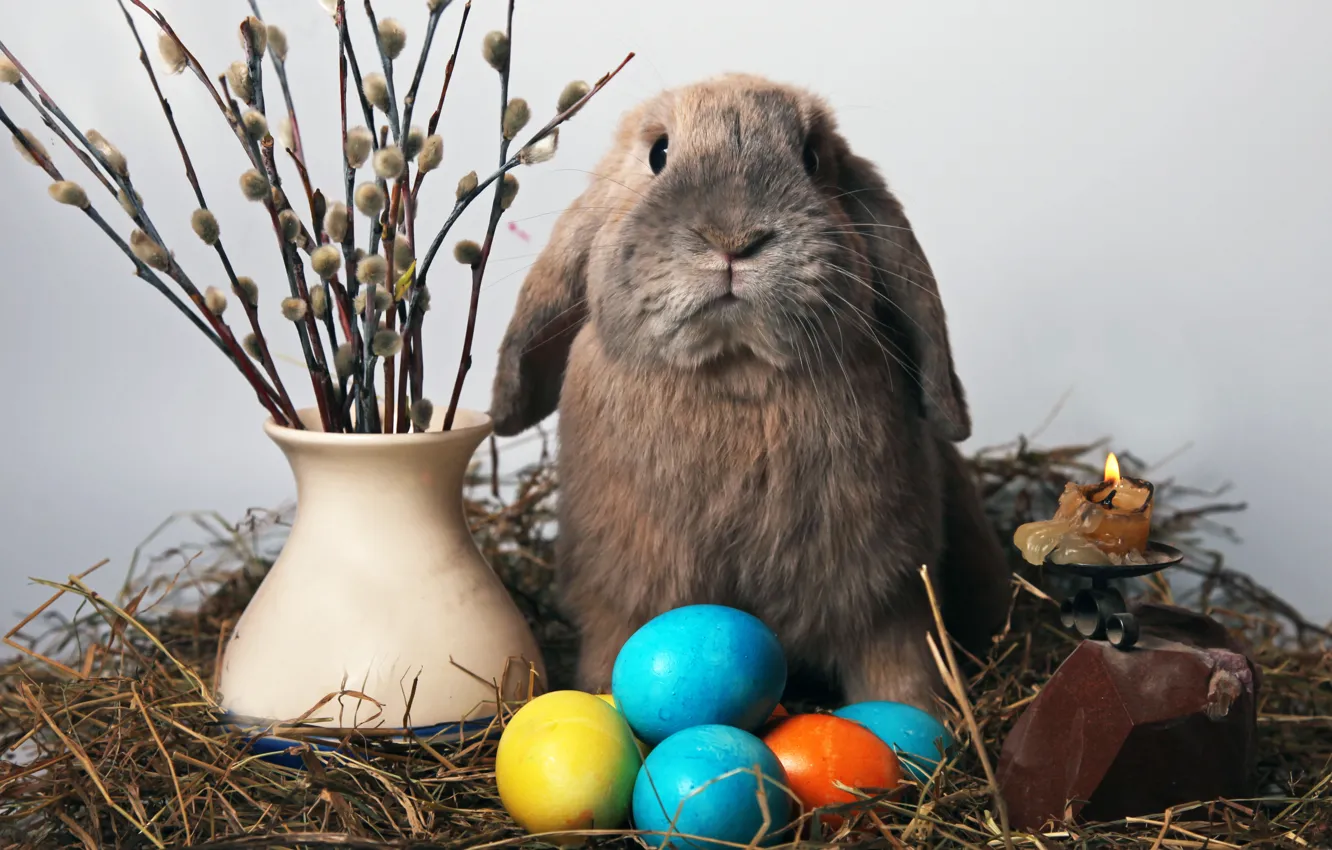 Фото обои свеча, яйца, кролик, пасха, солома, верба