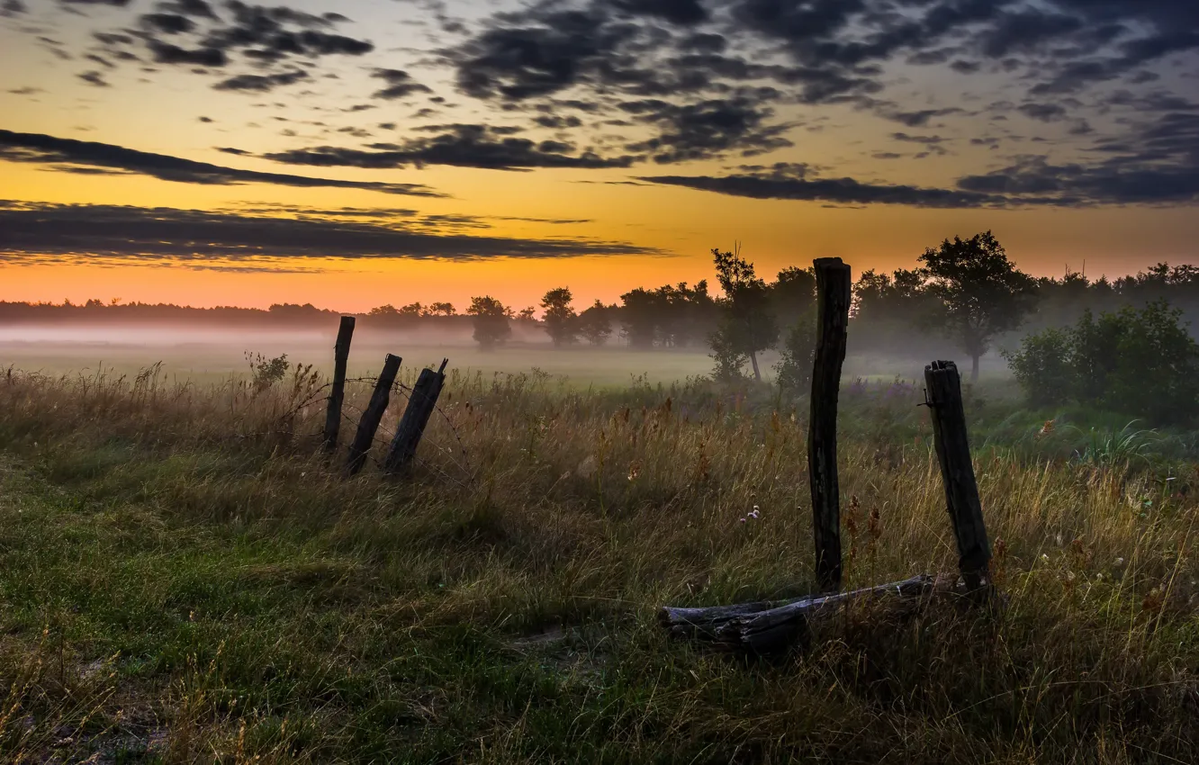 Фото обои поле, лето, туман, забор, утро