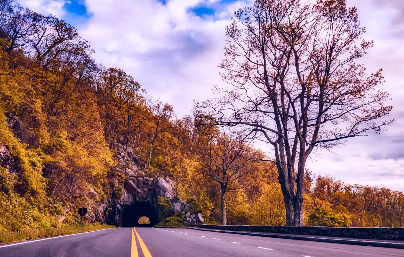 Фото обои дорога, осень, облака, деревья, гора, желтые, склон, шоссе