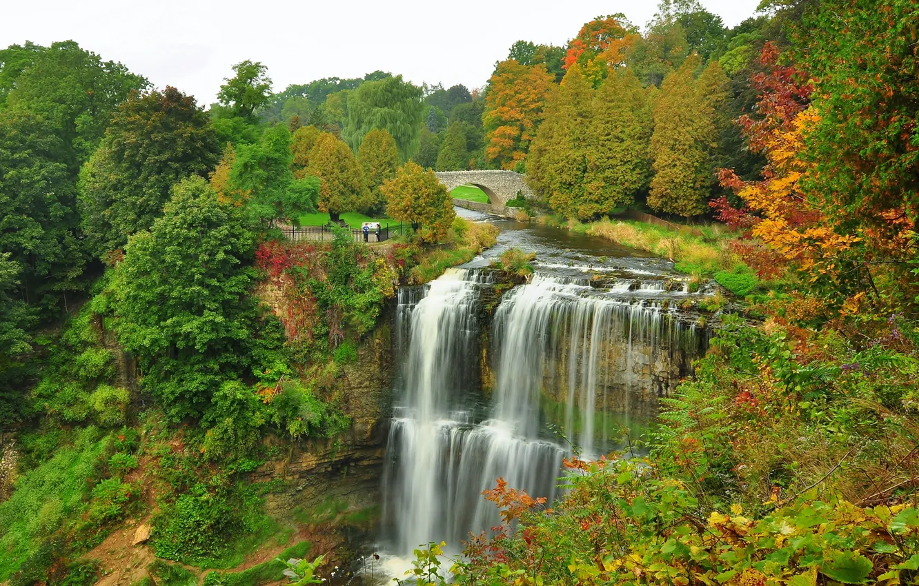 Фото обои осень, лес, деревья, мост, парк, река, водопад