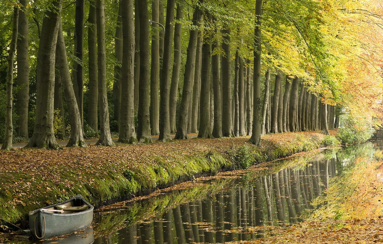 Фото обои дорога, деревья, лодка
