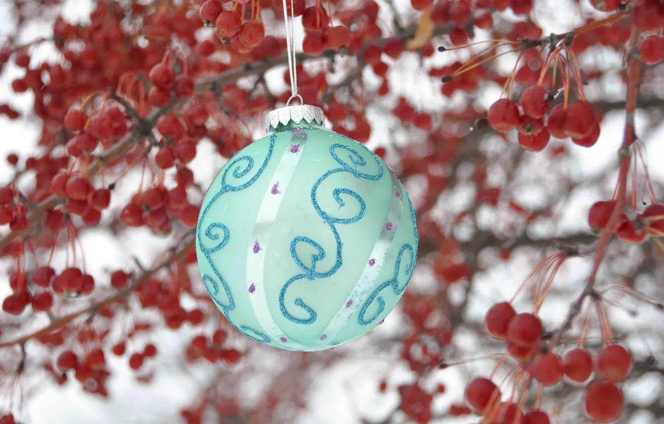 Фото обои снег, ветки, праздник, игрушка, шар, ягода, Новый год, рябина