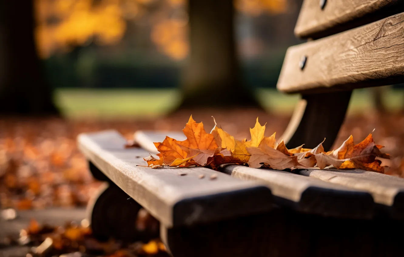 Фото обои осень, листья, скамейка, парк, trees, park, autumn, leaves