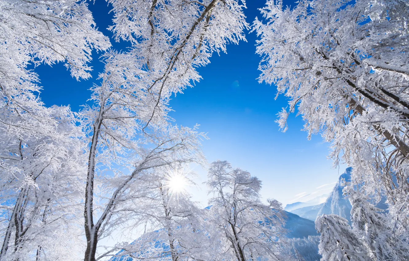 Фото обои зима, иней, небо, деревья, горы, Австрия, Альпы