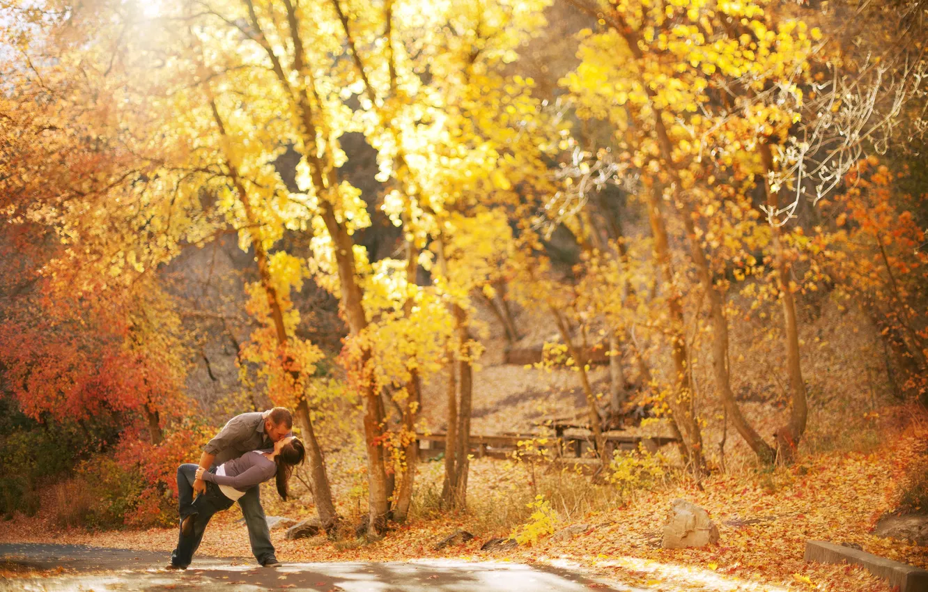 Фото обои осень, деревья, радость, фон, пара, прогулка, боке
