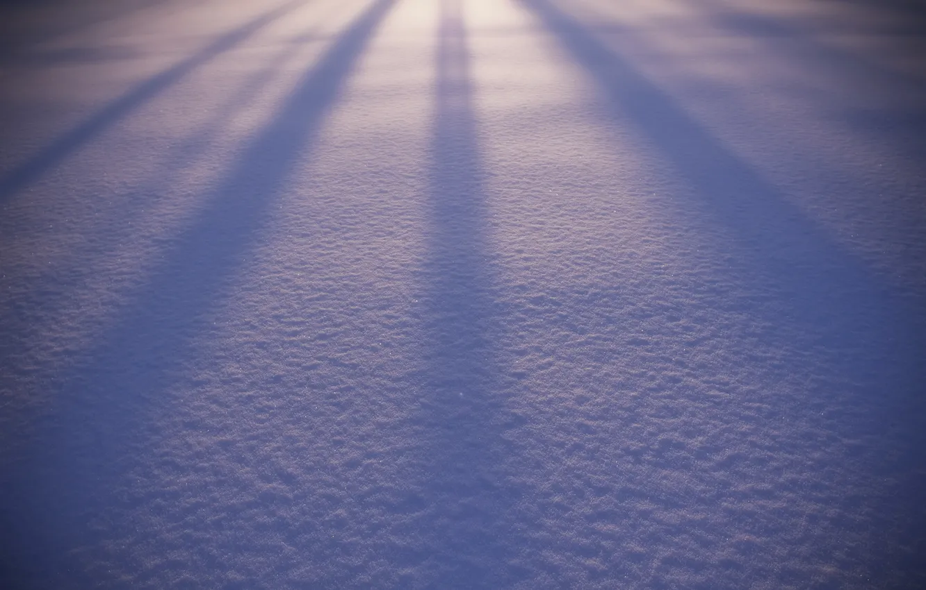 Фото обои зима, снег, природа, фон, widescreen, обои, блеск, тень