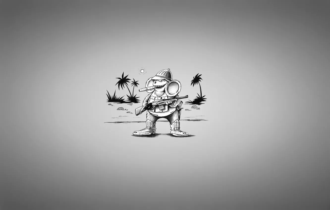 Фото обои вода, солнце, пальмы, оружие, одежда, крокодилы, ружье, чебурашка