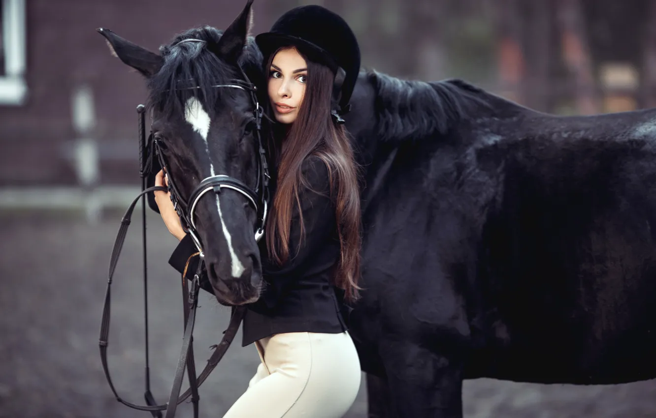 Фото обои девушка, конь, черный, лошадь, макияж, фигура, прическа, шатенка