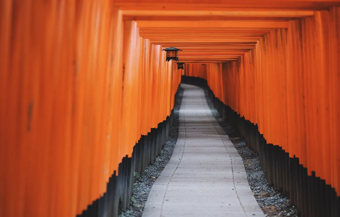 Фото обои Japan, Kyoto, east, Asia, shrine, Fushimi Inari Taisha, Fushimi-ku