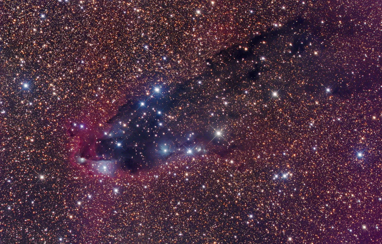 Фото обои космос, Скорпион, dark nebula, звездообразование, star formation, Scorpius, темная туманность
